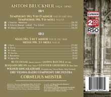 Anton Bruckner (1824-1896): Symphonie Nr.9, 2 CDs