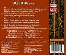 Josef Labor (1842-1924): Klarinettenquintett D-Dur op.11, 2 CDs