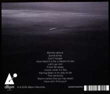 Jeff Tweedy (Wilco): Warm, CD