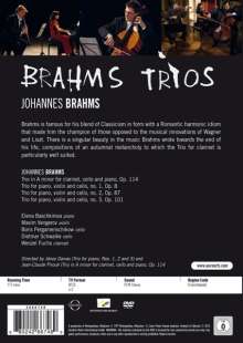 Johannes Brahms (1833-1897): Klaviertrios Nr.1-3, DVD