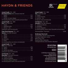 Hamburger Ratsmusik - Haydn and Friends, CD