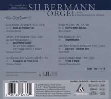 Die Silbermann-Orgel in der Benediktinerkirche Villingen, CD
