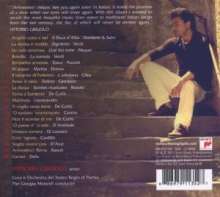 Vittorio Grigolo - Arrivederci, CD
