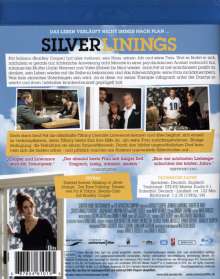 Silver Linings (Blu-ray), Blu-ray Disc