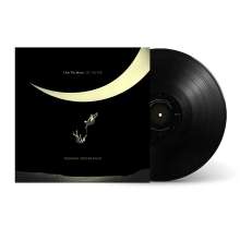 Tedeschi Trucks Band: I Am The Moon: III. The Fall (180g), LP