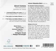 Johann Sebastian Bach (1685-1750): Kantaten BWV 36,61,62, CD