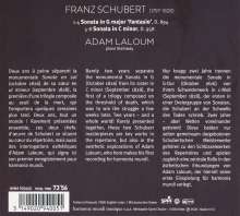 Franz Schubert (1797-1828): Klaviersonaten D.894 &amp; 958, CD