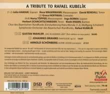 Rafael Kubelik - Wien, Super Audio CD
