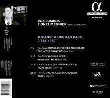 Johann Sebastian Bach (1685-1750): Kantaten BWV 12,106,131,150, CD