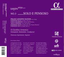 Joseph Haydn (1732-1809): Haydn-Symphonien-Edition 2032 Vol.3 - Solo e Pensoso, CD