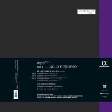 Joseph Haydn (1732-1809): Haydn-Symphonien-Edition 2032 Vol.3 - Solo e Pensoso (180g), 2 LPs und 1 CD