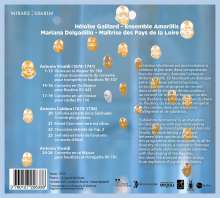 Ensemble Amarillis &amp; Maitrise des Pays de la Loire - Jubilation Venetienne, CD
