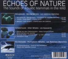 Wale - The Sounds Of Aquatic Mammals In The Wild, 3 CDs