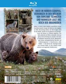 In Skandinaviens Wäldern - Die Bärenbande (Blu-ray), Blu-ray Disc