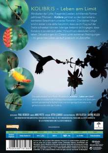 Kolibris - Leben am Limit, DVD