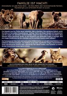 Wilde Dynastien 2 - Die Clans der Tiere, 2 DVDs