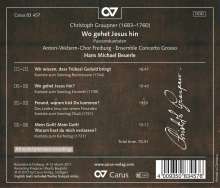 Christoph Graupner (1683-1760): Passions-Kantaten - "Wo gehet Jesus hin", CD