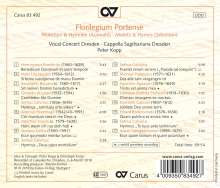 Motetten &amp; Hymnen aus dem Florilegium Portense (Anfang des 17. Jahrhunderts), CD
