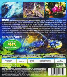 Hawaii (Ultra HD Blu-ray), Ultra HD Blu-ray