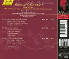 Johann Sebastian Bach (1685-1750): Die vollständige Bach-Edition Vol.62 (Kantate BWV 202-204), CD