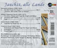 Musik für Orgel &amp; Blechbläser - Jauchzt, alle Lande, CD
