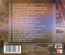 Boarische Almmusi: Bergbleamlan-Instrumental, CD
