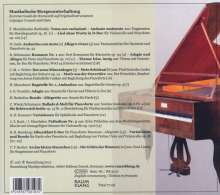 Musicalische Morgenunterhaltung - Kammermusik der Romantik auf Originalinstrumenten, CD