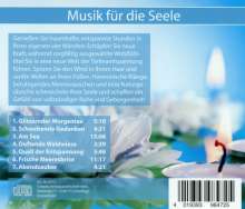Wellnessmusik Ruhe und Harmonie, CD