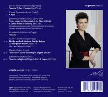 Angela Metzger - Circuli, CD