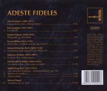 Adeste Fideles - Weihnachtliche Musik an der großen Orgel des Magdeburger Doms, CD
