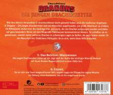 Dragons - Die jungen Drachenretter (Folge 3), CD