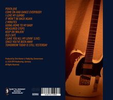 Textliste: Songtitel wie "Penta Jive", daneben ein Foto einer elektrischen Gitarre in warmem Licht.
