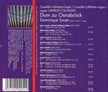 Dominique Sauer - Deutsche und französische Romantik, CD