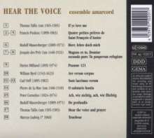 Amarcord Ensemble - Hear the Voice, CD
