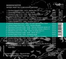 Chorwerk Ruhr &amp; Capella de la Torre - Bodenschätze (Motetten aus dem Florilegium Portense), CD