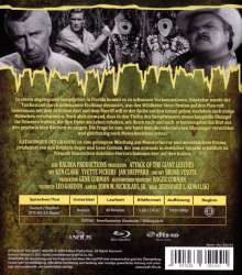 Katakomben des Grauens (Blu-ray), Blu-ray Disc