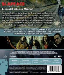 Slapface (Blu-ray), Blu-ray Disc