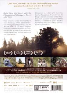Der Wilde Wald - Natur Natur sein lassen, DVD