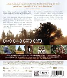 Der Wilde Wald - Natur Natur sein lassen (Blu-ray), Blu-ray Disc
