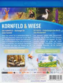 Kornfeld und Wiese (Blu-ray), Blu-ray Disc