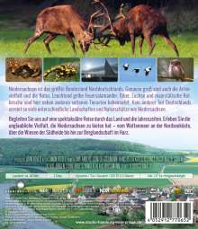 Wildes Niedersachsen: Zwischen Wattenmeer, Heide und Harz  (Blu-ray), Blu-ray Disc