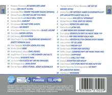 Die offiziellen deutschen Party &amp; Schlager Charts Vol.14, 2 CDs
