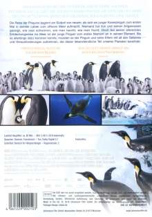 Die Reise der Pinguine 2 - Der Weg des Lebens, DVD