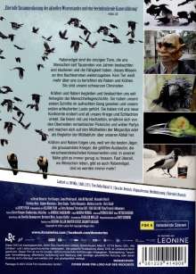 Krähen - Die Natur beobachtet uns, DVD