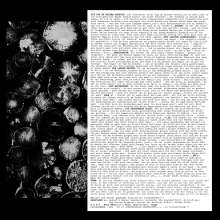 EA80: Mehr Schreie (Reissue), LP