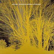 Nada Surf: The Stars Are Indifferent To Astronomy (Limited Edition), LP