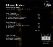 Johannes Brahms (1833-1897): Streichsextette Nr.1 &amp; 2 (bearbeitet für Klaviertrio von Theodor Kirchner), CD