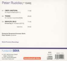 Peter Ruzicka (geb. 1948): Orchesterwerke Vol.2, CD