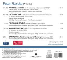 Peter Ruzicka (geb. 1948): Orchesterwerke Vol.4, CD