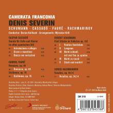Denis Severin - Arrangements für Cello &amp; Streichorchester, CD